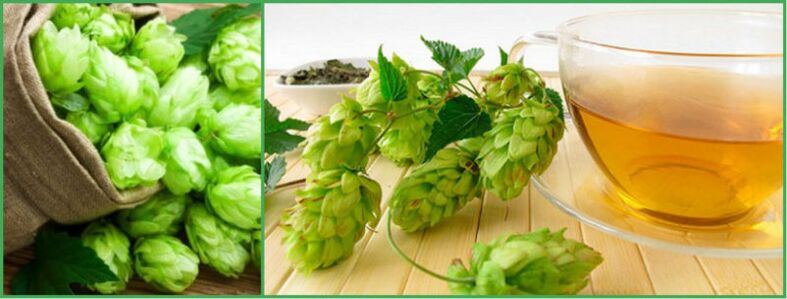 Decoction of hop cones for potency after 50